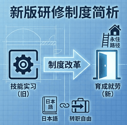 研修签证大变局:从“合法的坑”到“普通人的路”